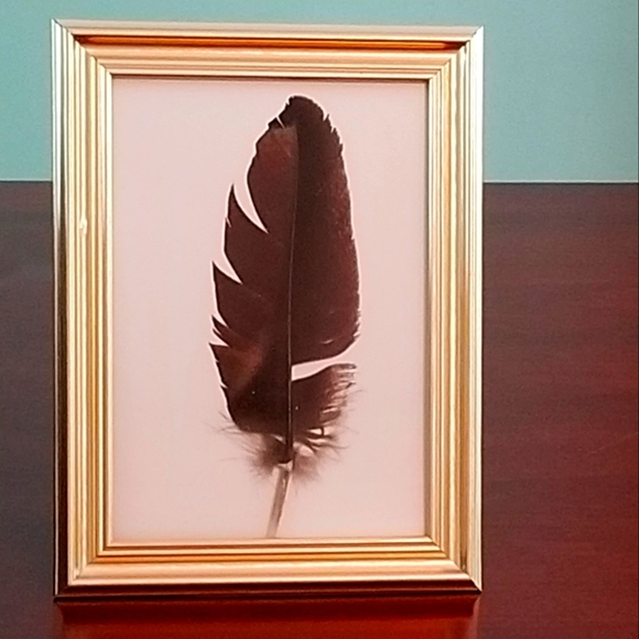 Featherwork/ 5×7 Framed Wall or Stand Alone Decor Turkey Feather Gold Frame - Picture 1 of 4